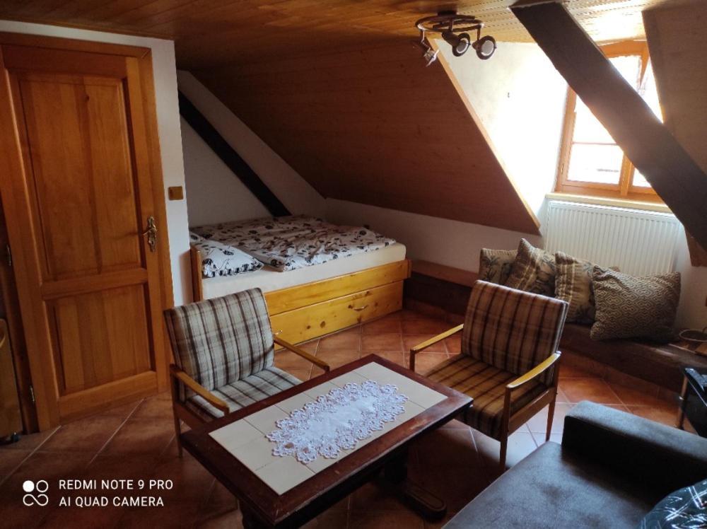 Apartman Pod Sribrnou Horou Lhenice 外观 照片