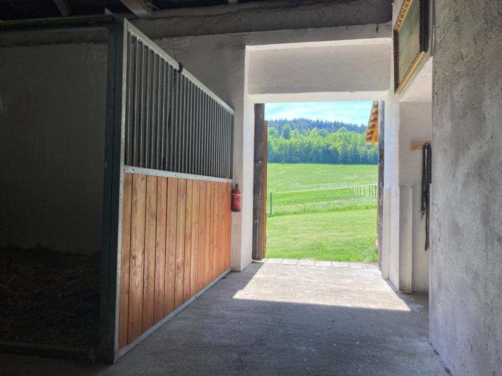 Apartman Pod Sribrnou Horou Lhenice 外观 照片